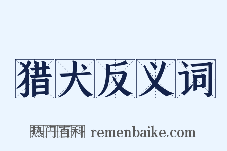 猎犬反义词是什么意思的图片